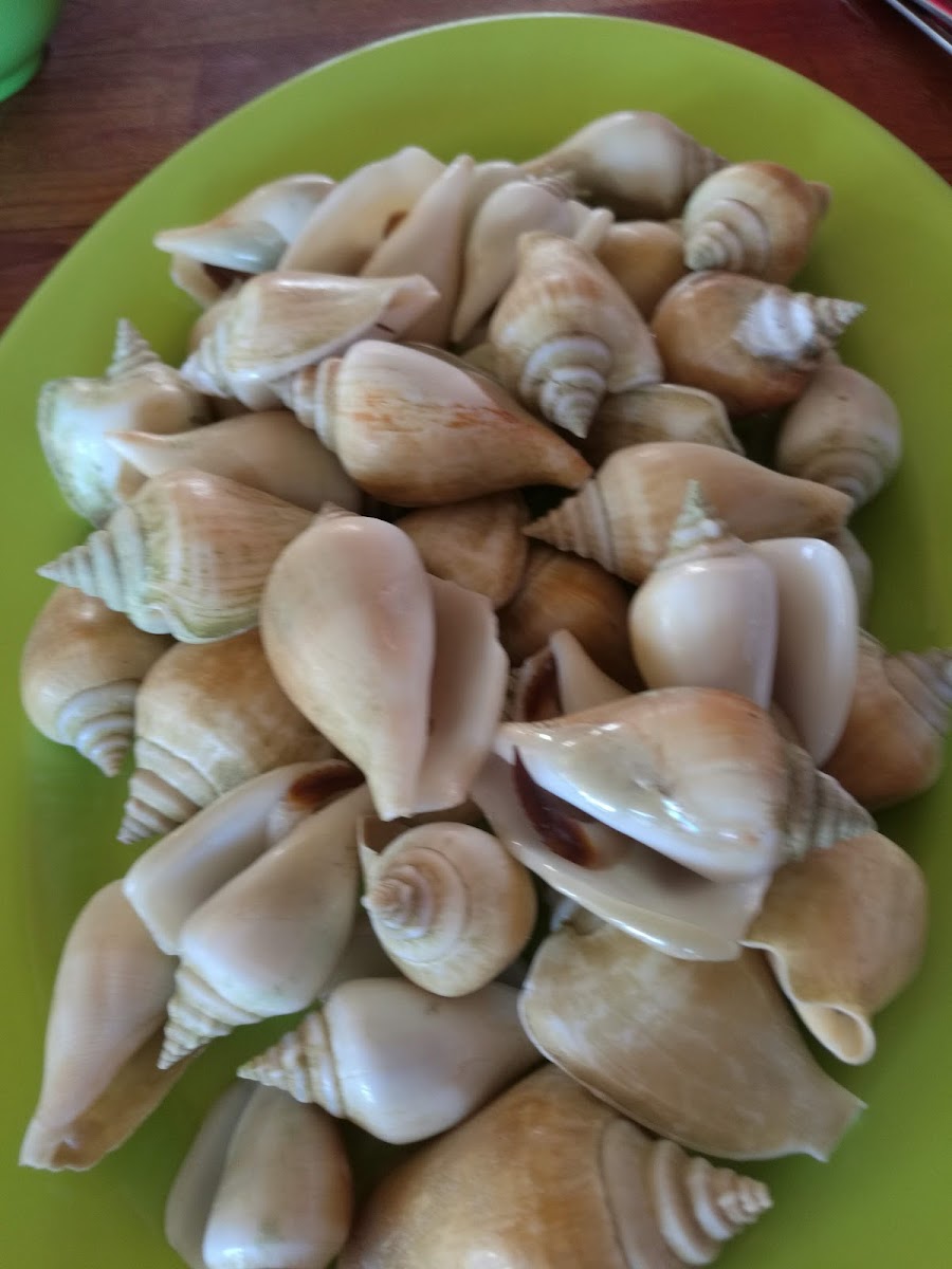 Han Kang Seafood Restaurant Batam Photo 5