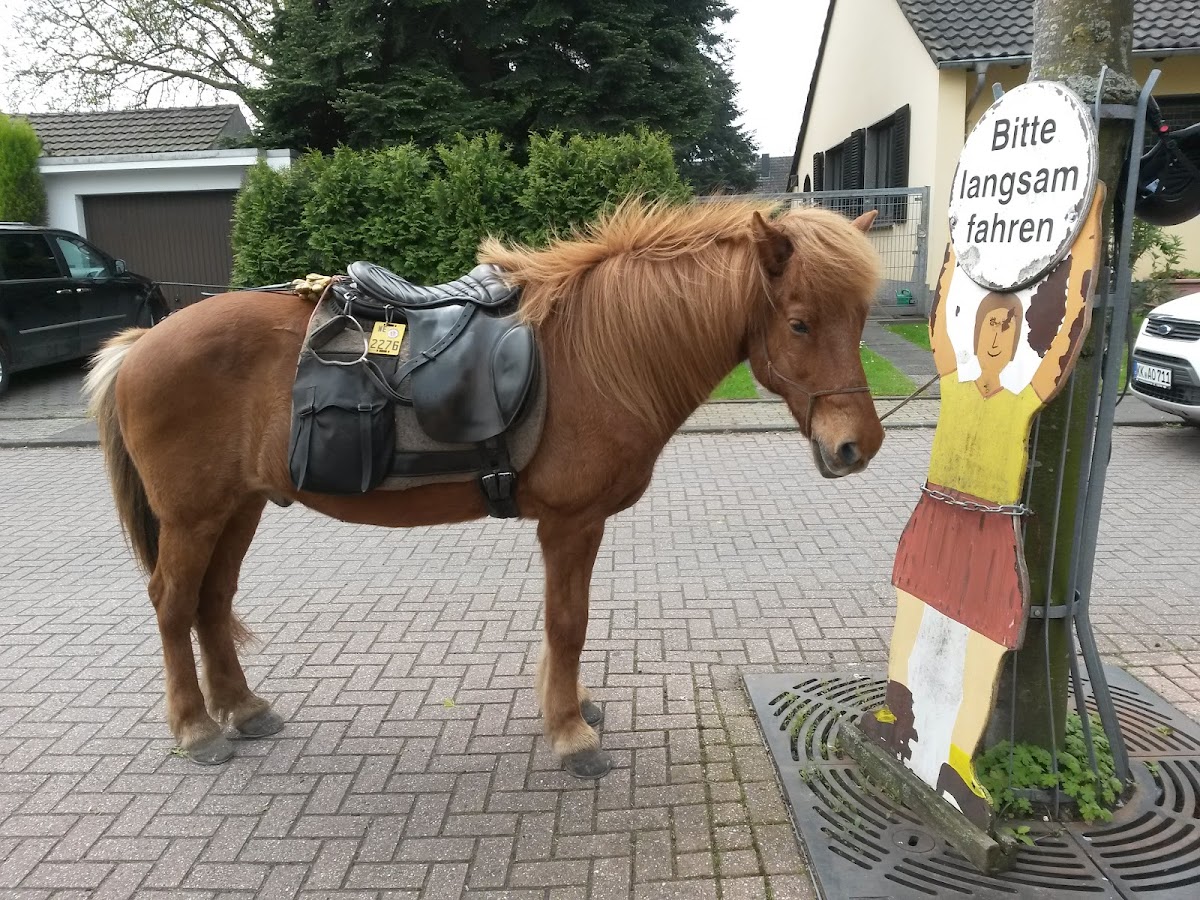 Sitterhof Photo 3