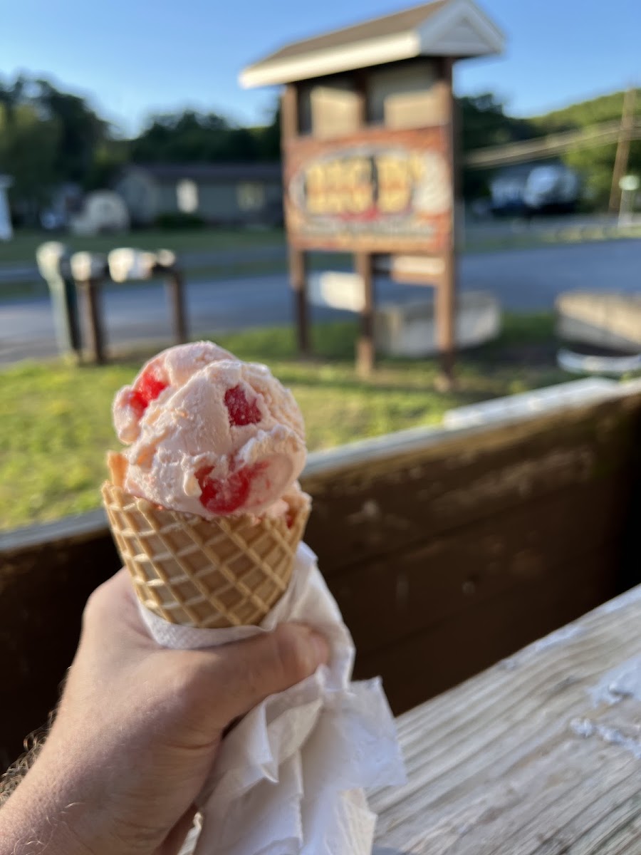 Big D's Cones and Shakes Photo 8