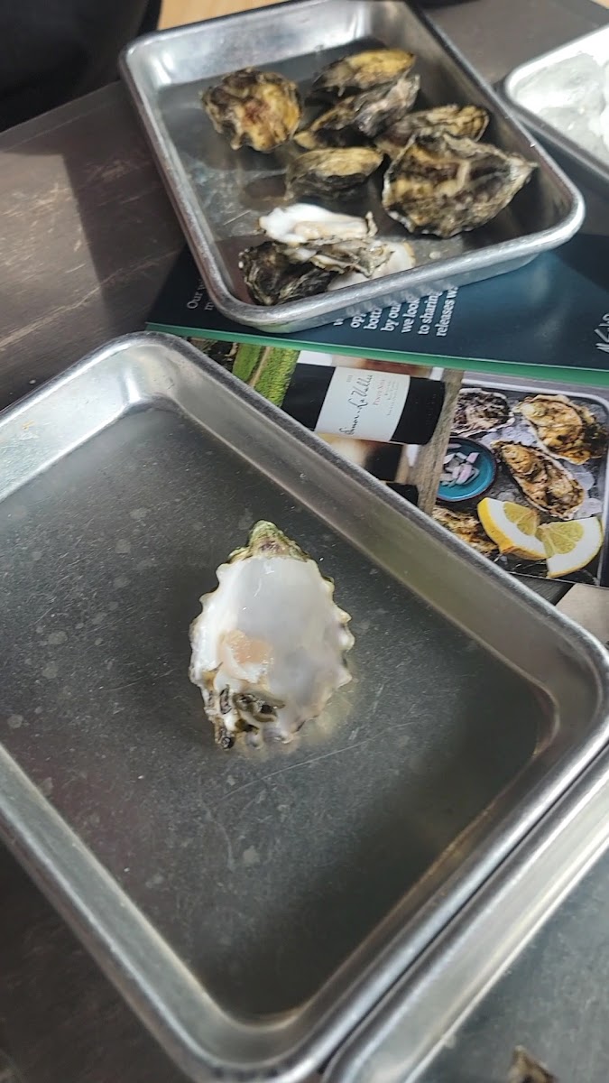 Shuck Shack Photo 2