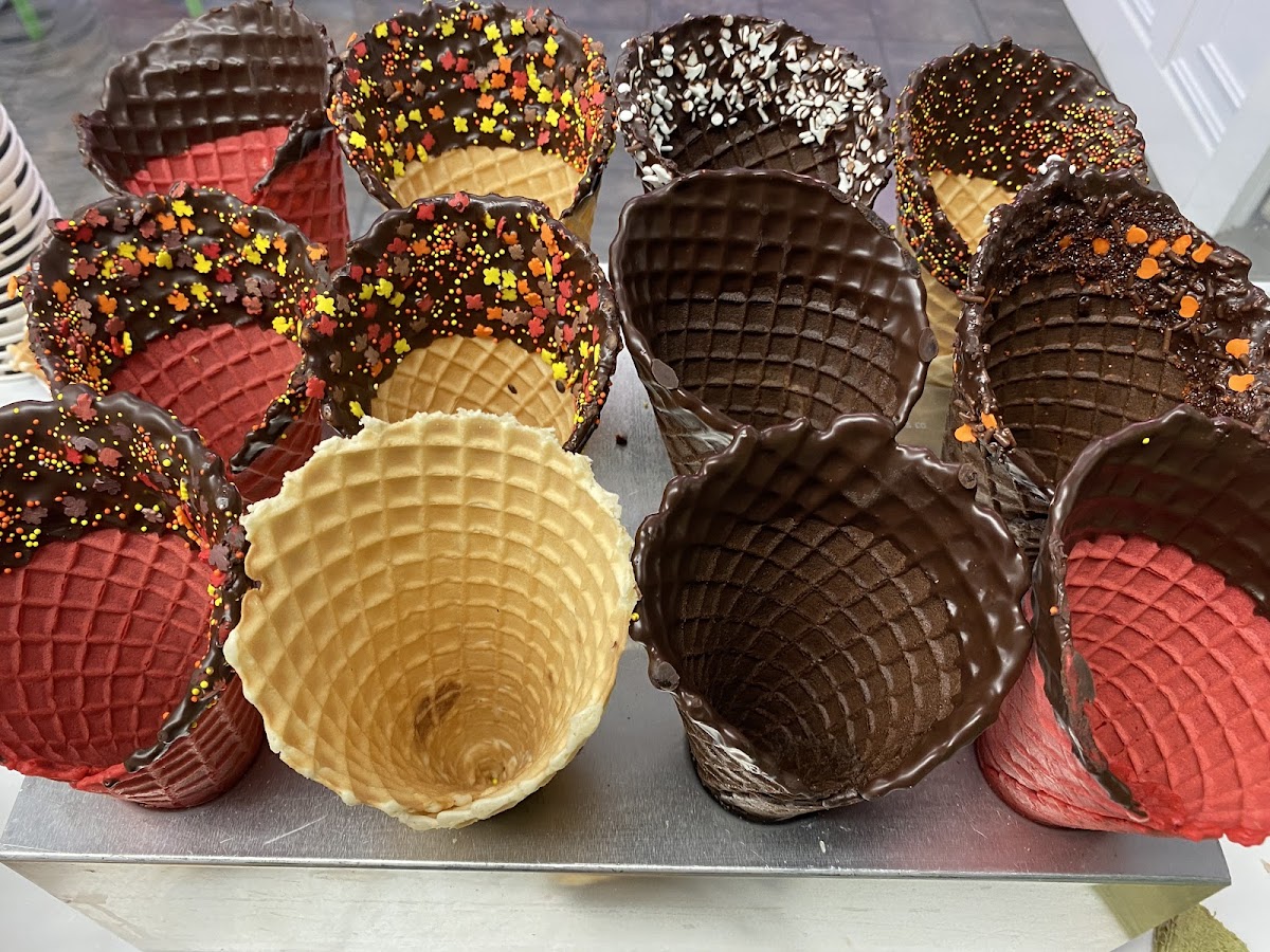 Cone Lickers Photo 2