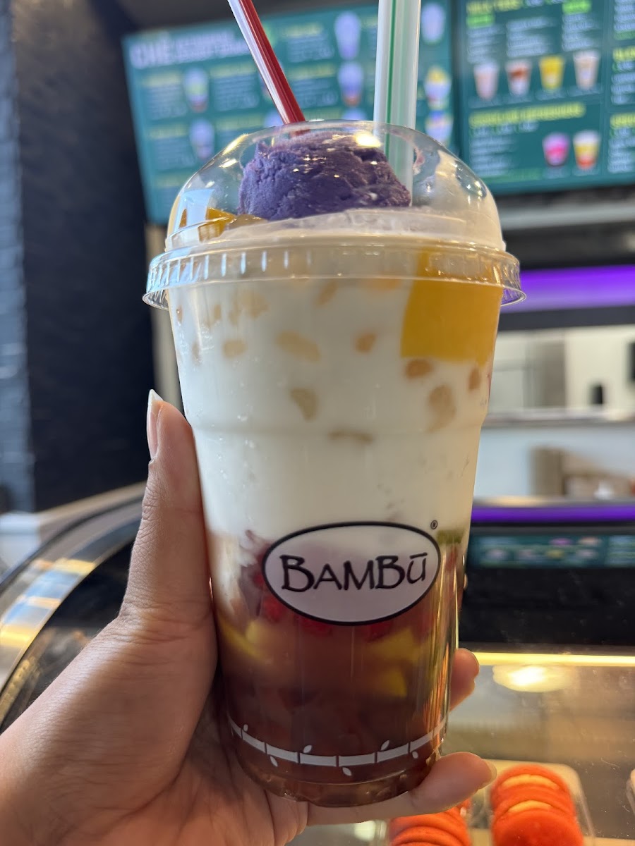 Bambu Holland Photo 2