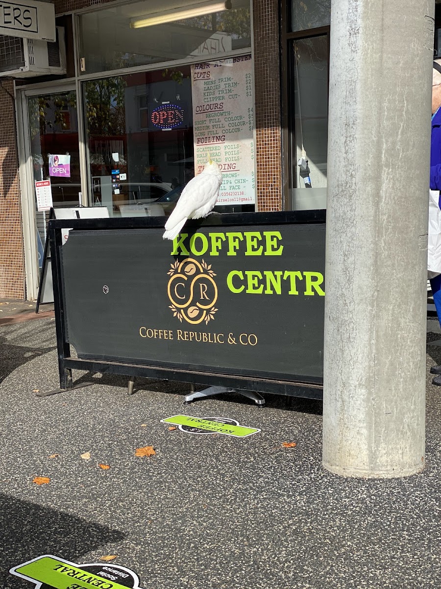 Koffee Central Photo 4