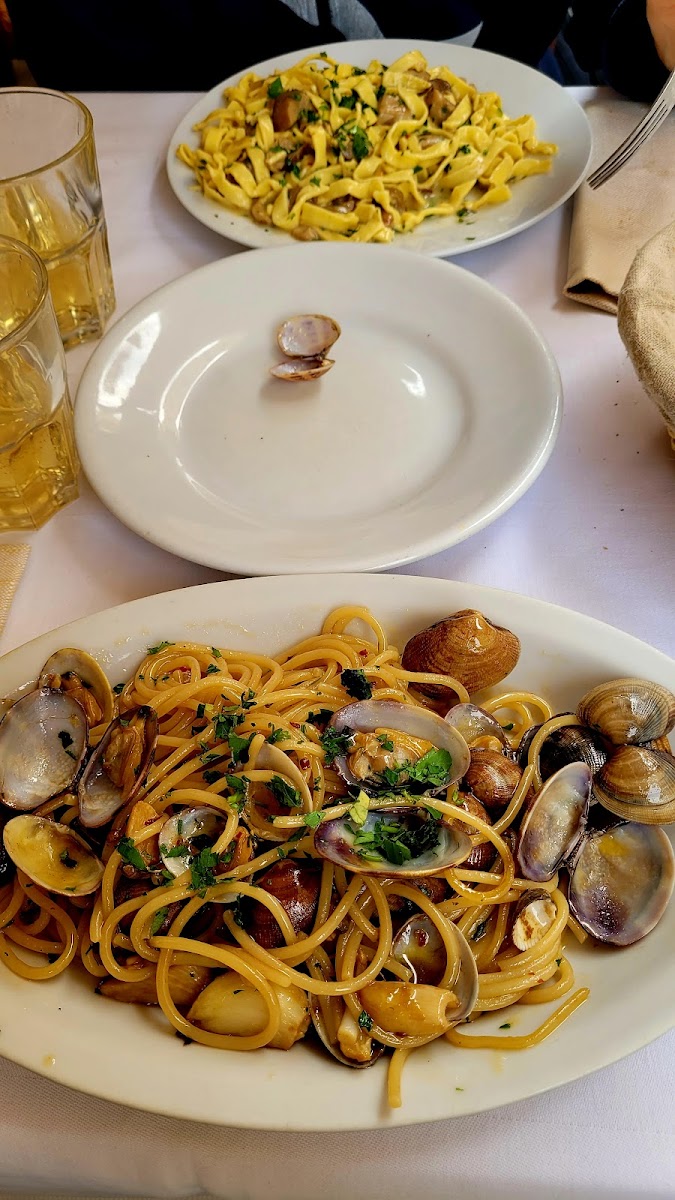 Trattoria Pizzeria Da Simonetta Photo 9