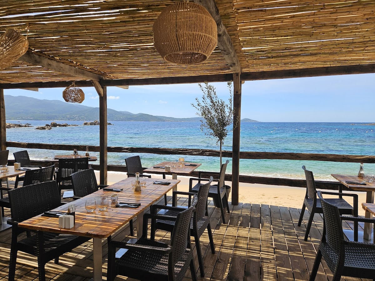 ISO - La Paillote / Ex Cala Nautique