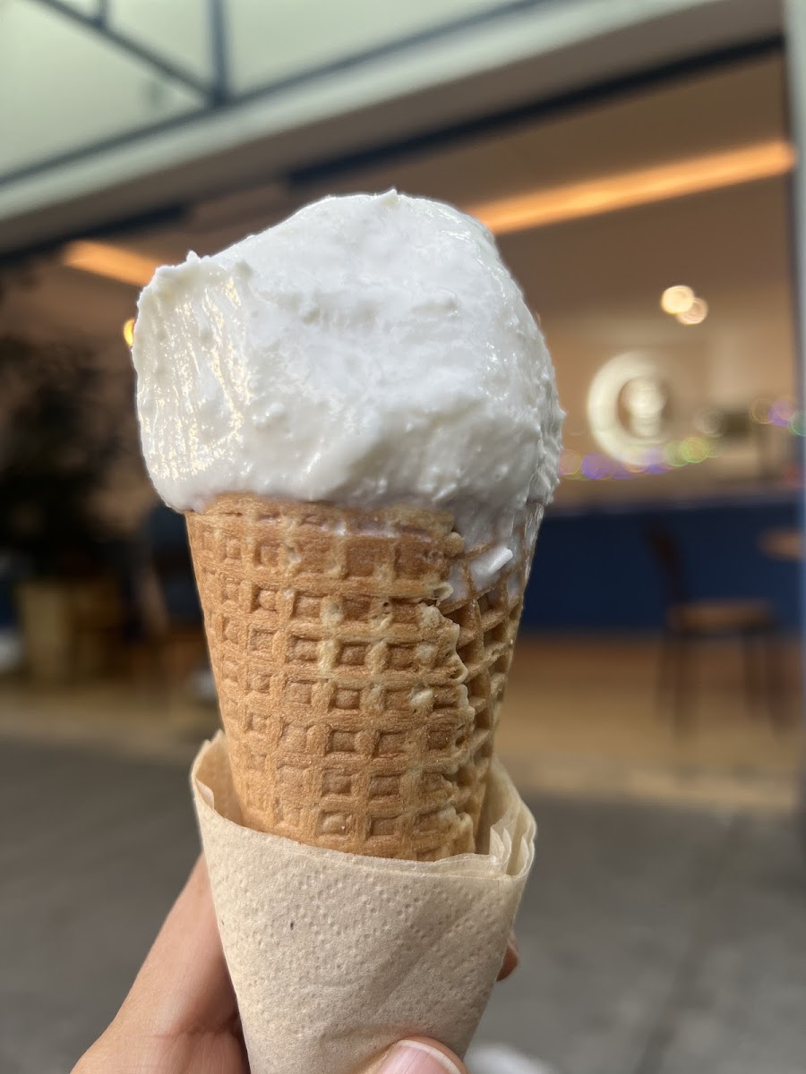 El Portal del Sabor Photo 10