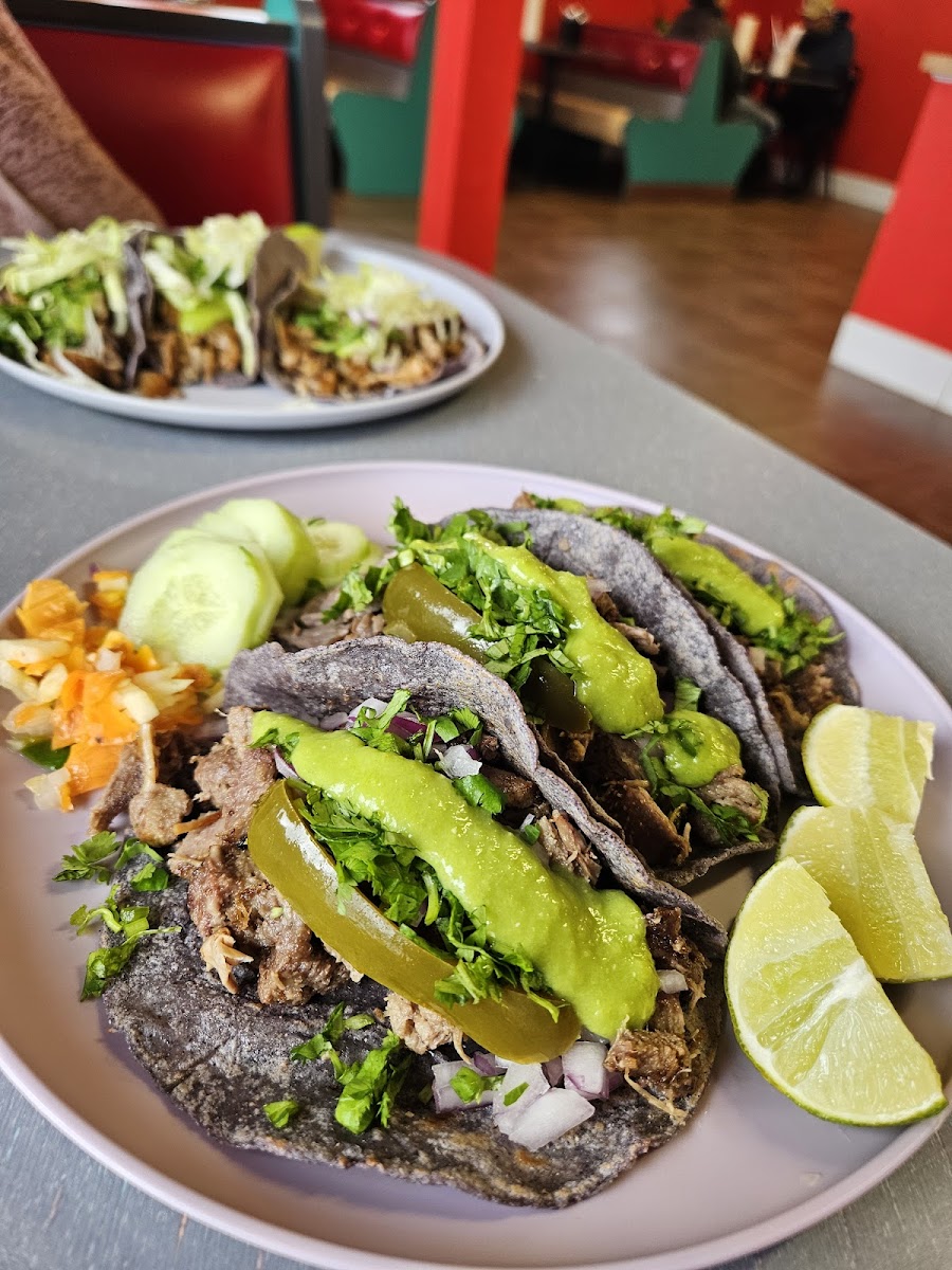Taqueria los Panchos Photo 5