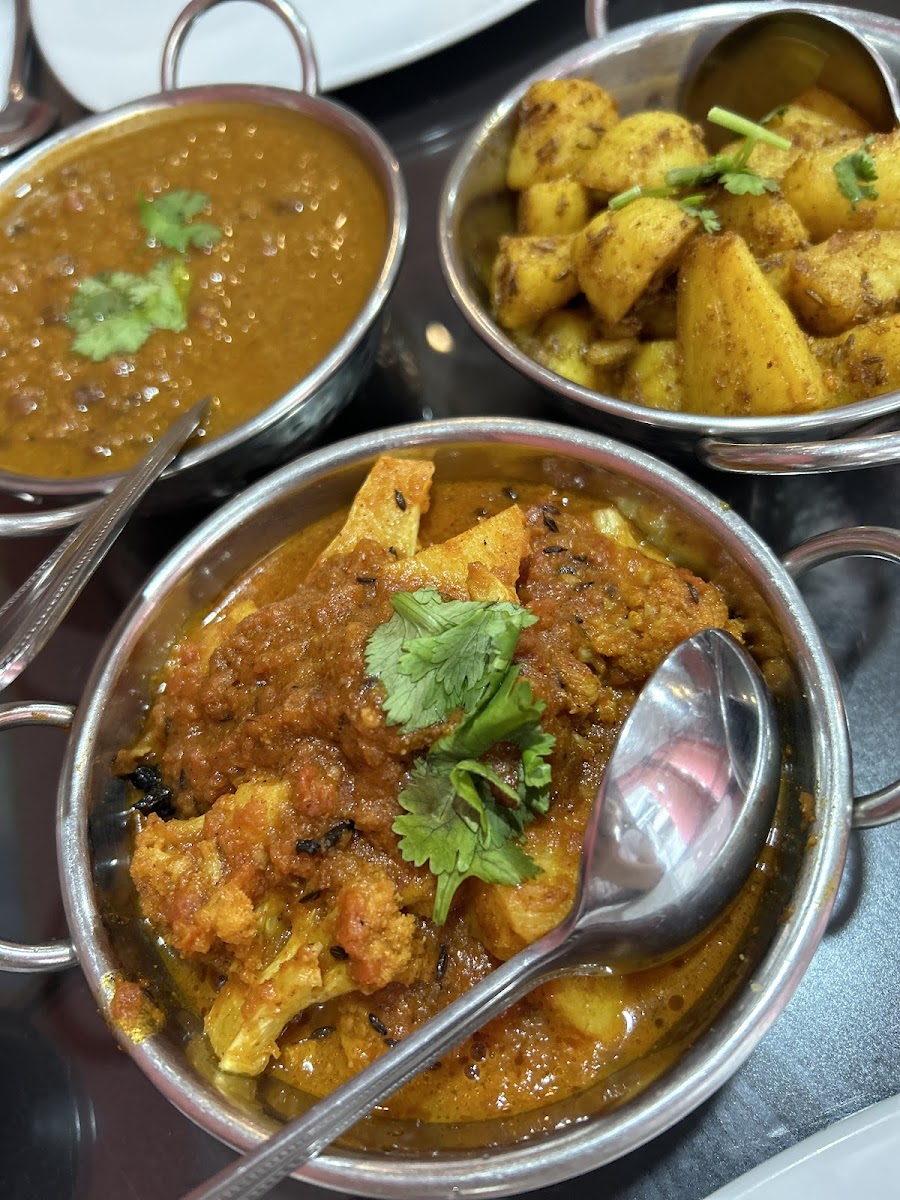Vegan India - Pure Vegetarian Indian Restaurant Near MBK Mall Photo 6