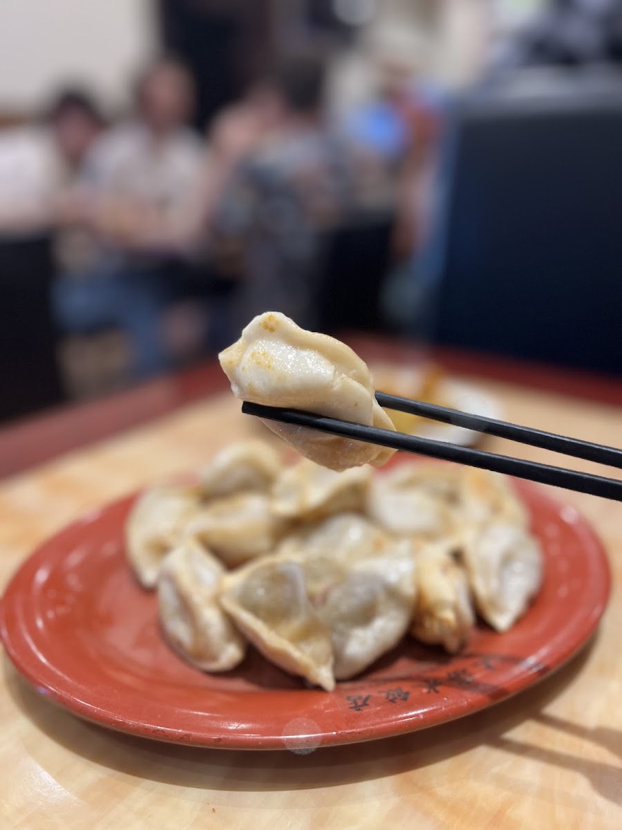 Camy Shanghai Dumpling House Photo 5