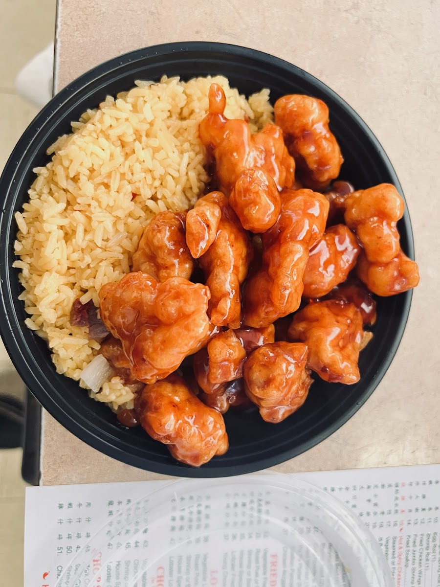 Double Dragon Chinese Restaurant Photo Menu 6