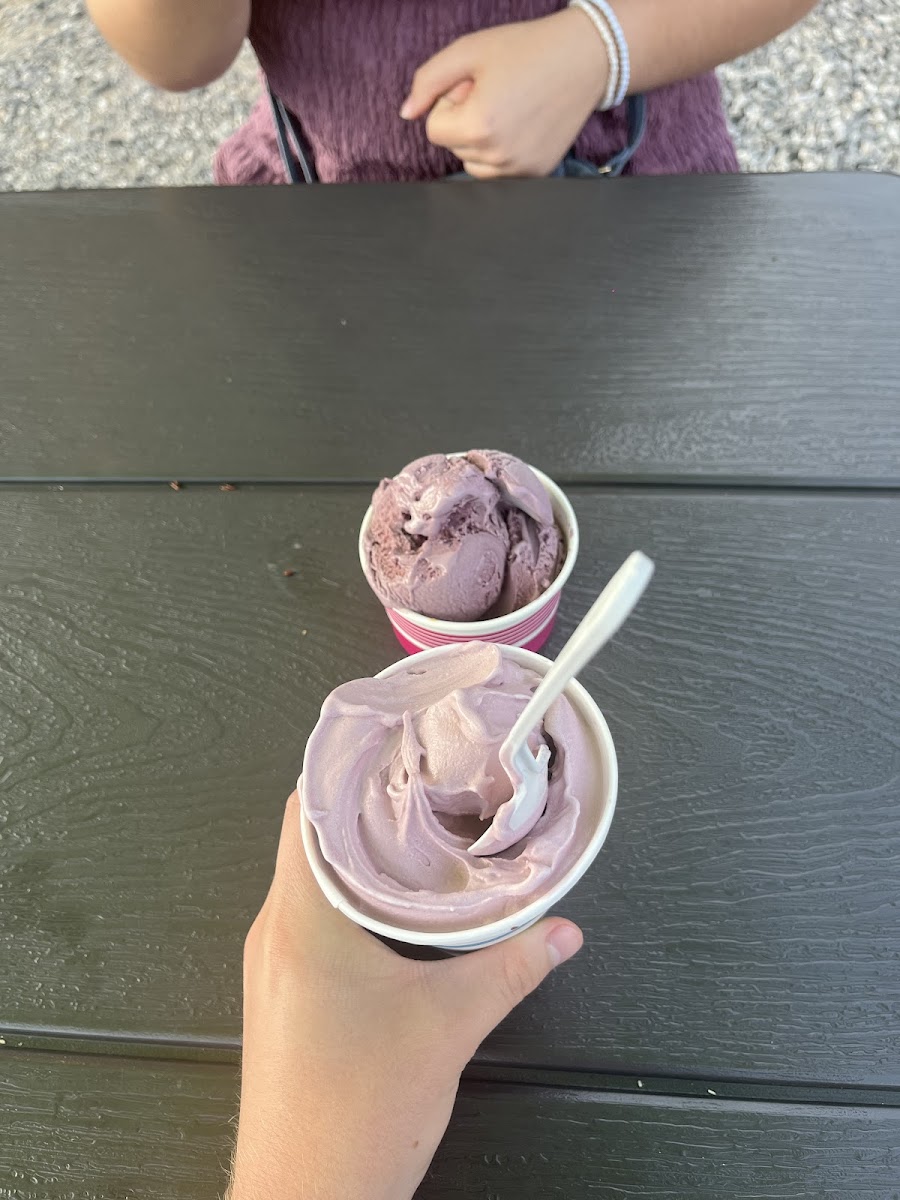 Lakeside Dairy Bar Photo 6