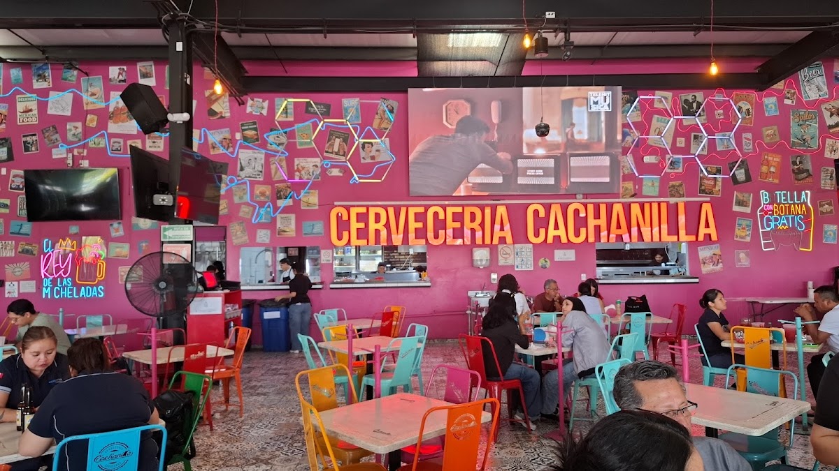 Cachanilla Bernardo Quintana Photo 4