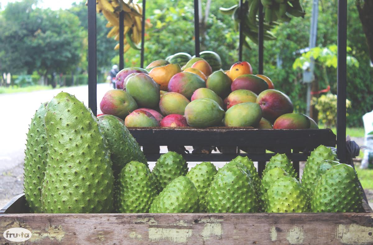 Fruta Ice Cream Photo 3