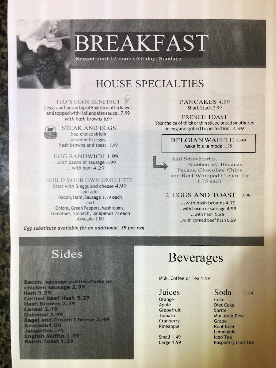Ted's Ice Cream & Restaurant Photo Menu 7