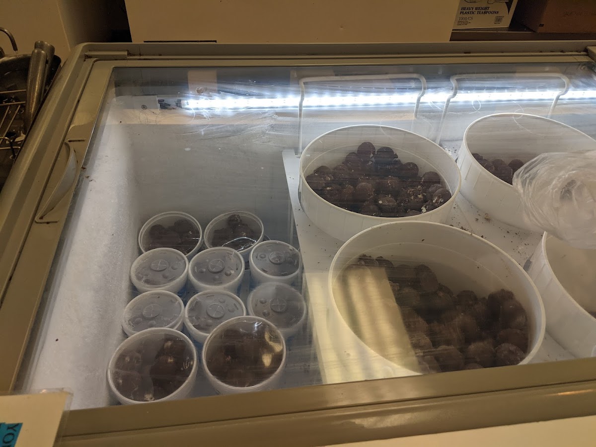 Lic's Deli & Ice Cream Photo 9