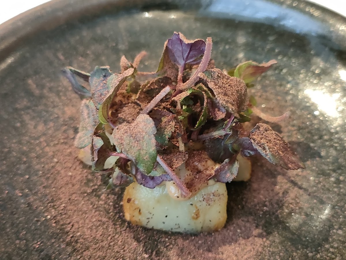NAKATANI RESTAURANT Photo 9