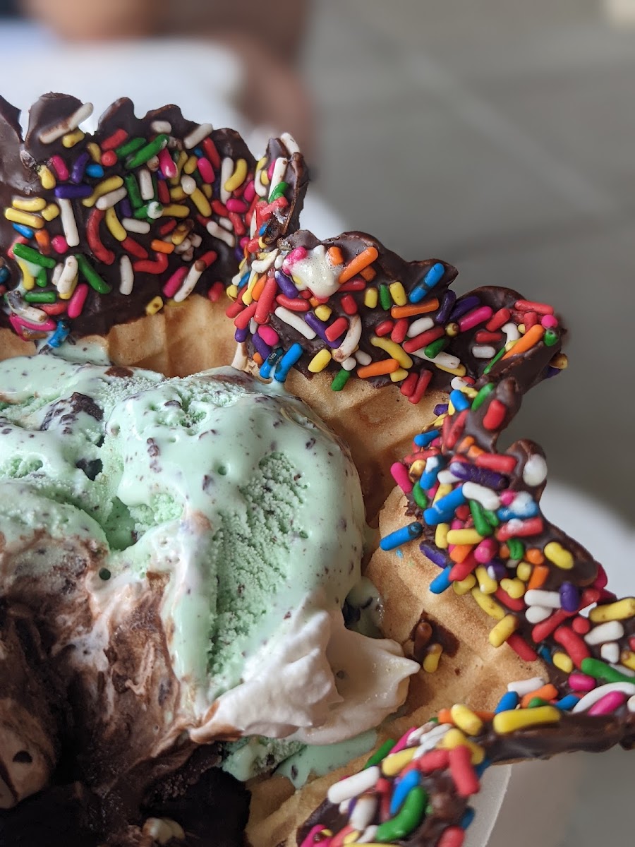 Over the Top Ice Cream Photo 8
