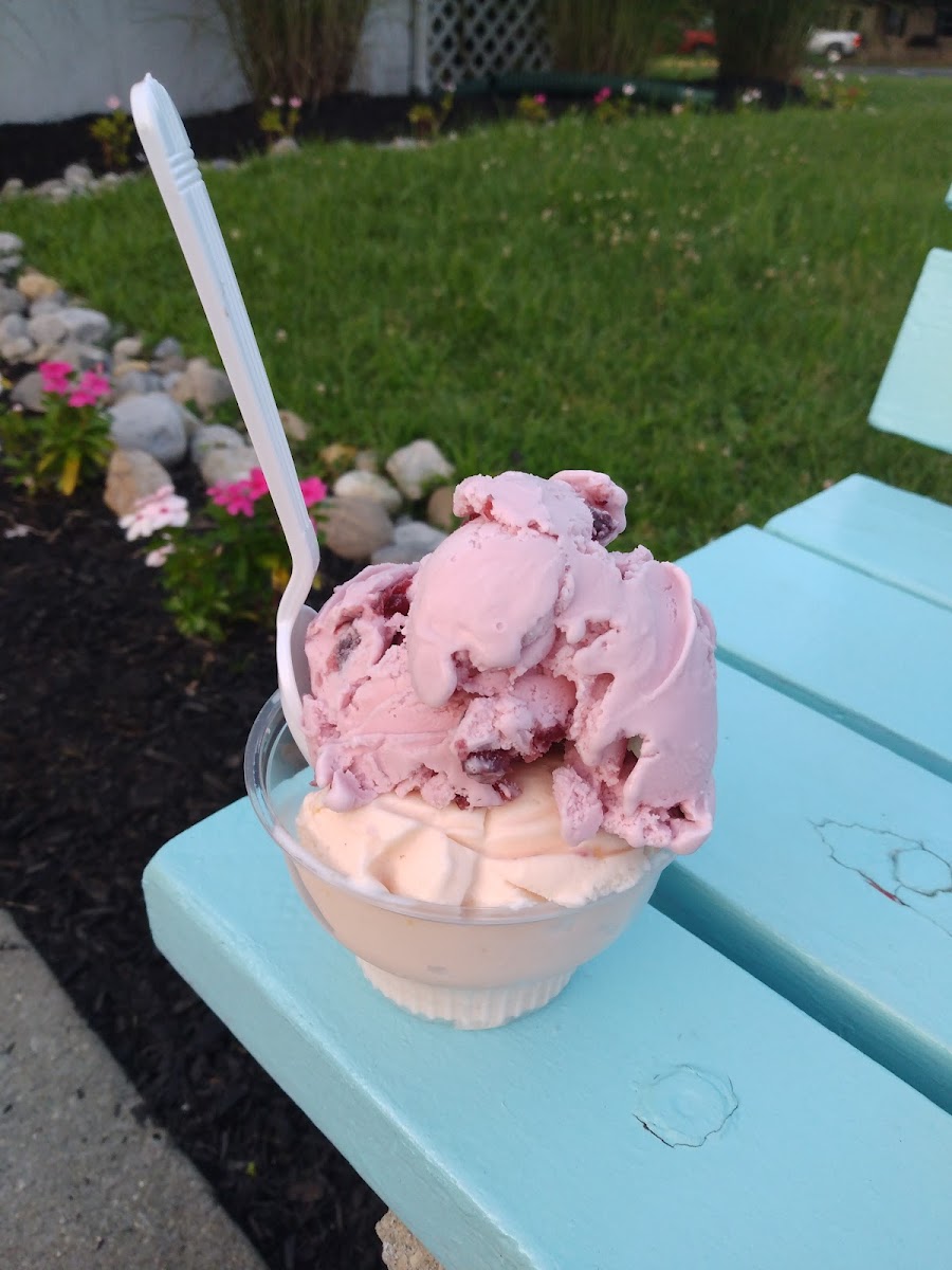 Ice Cream Love Photo 8
