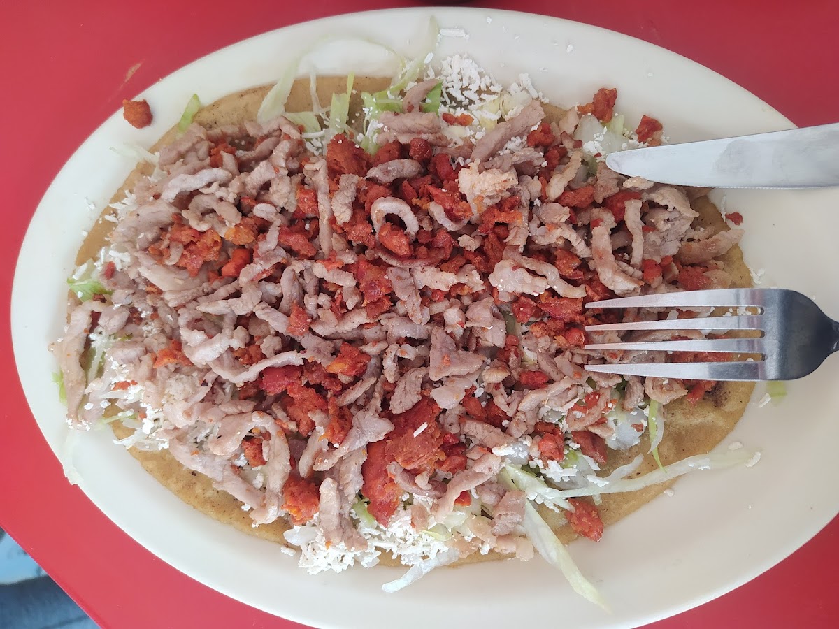 Gordas N Gordos Portales Photo 7