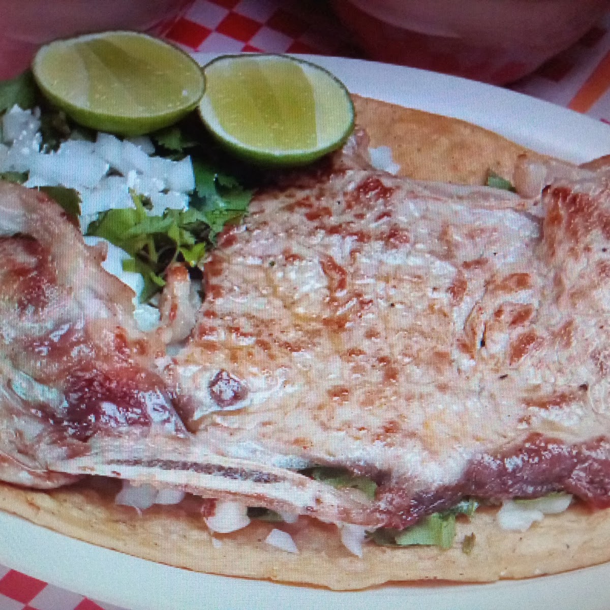 Gordas N Gordos Portales Photo 9