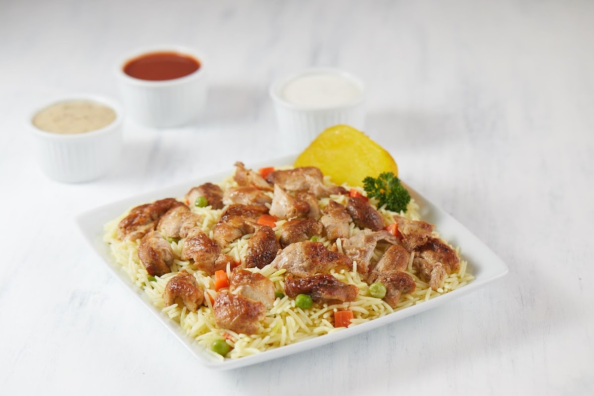 Pita Lite Shawarma Photo 7