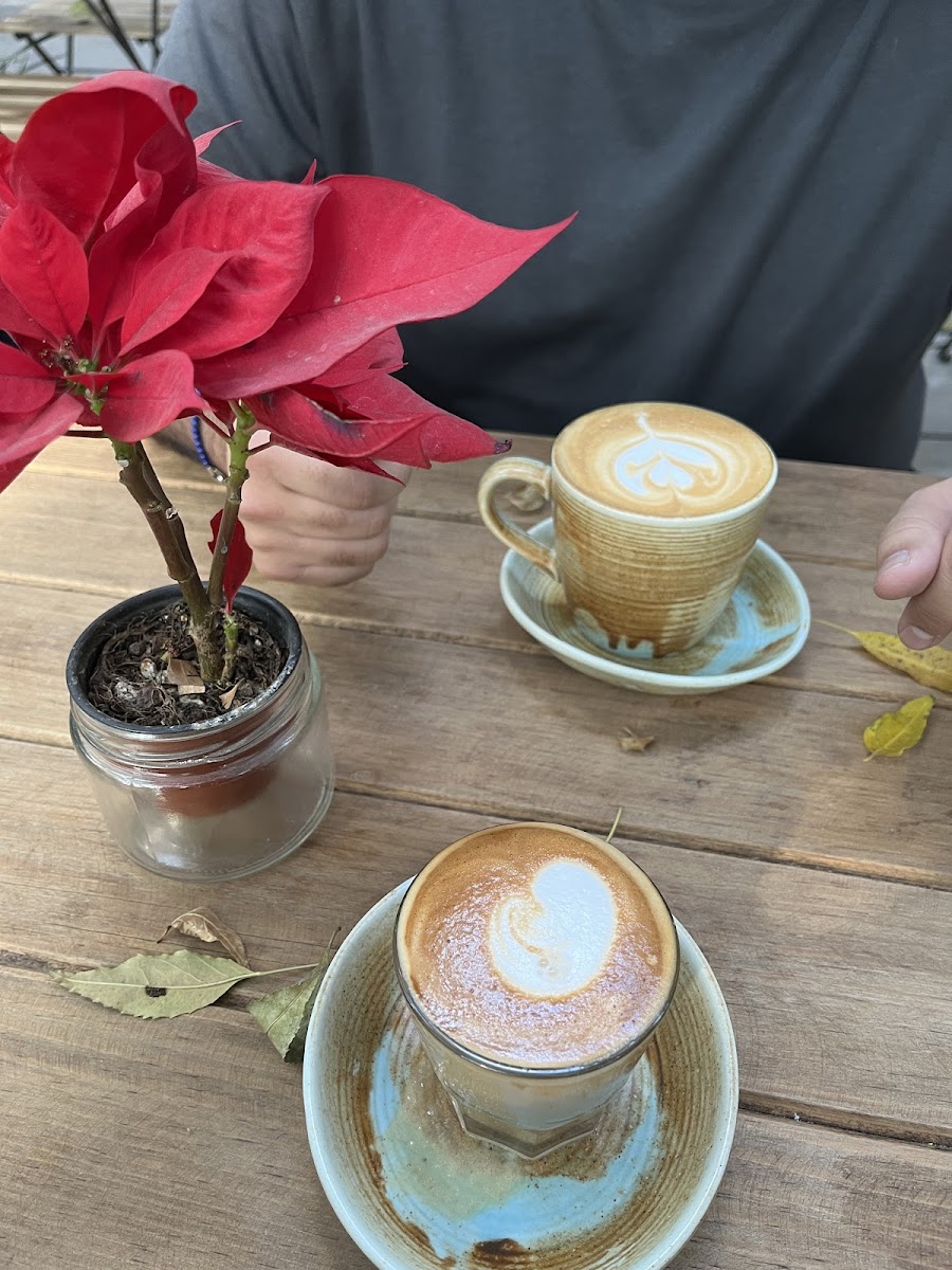Orquídea Café Photo 5