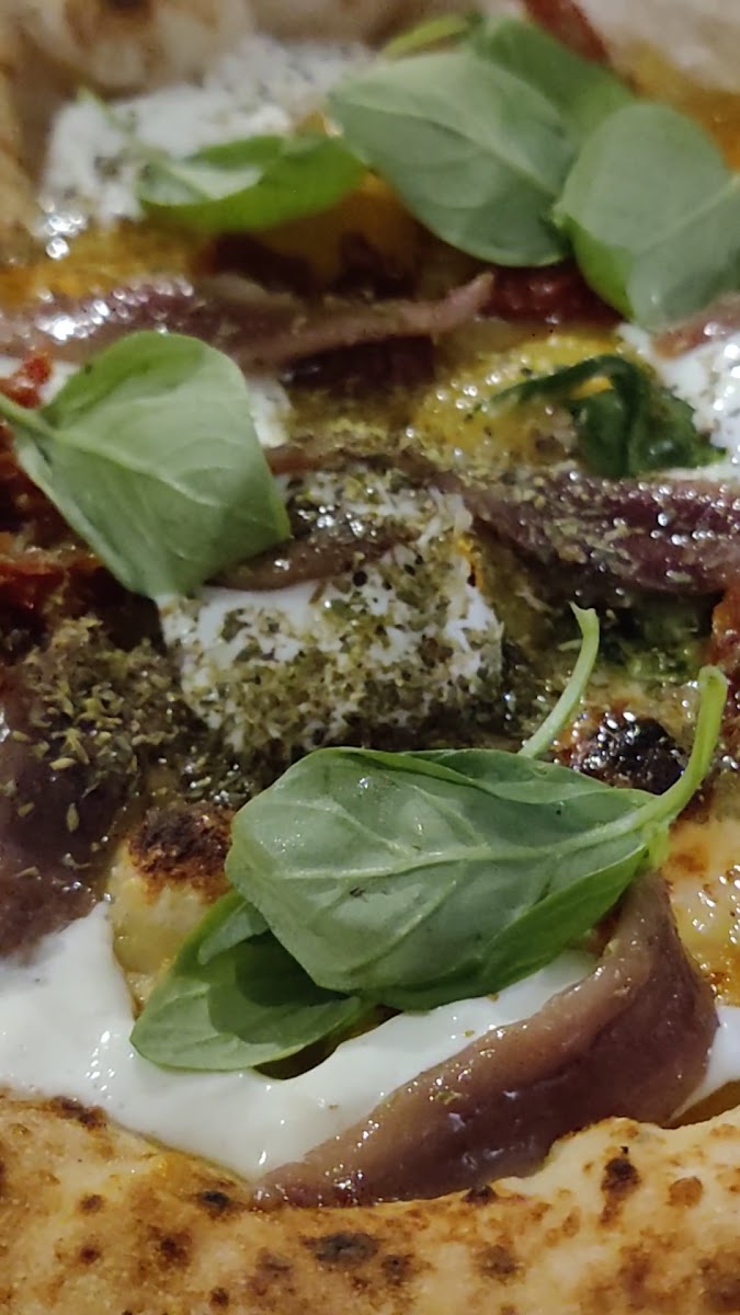 Atipico Lissone | Ristorante Pizzeria e Hamburger Photo 2