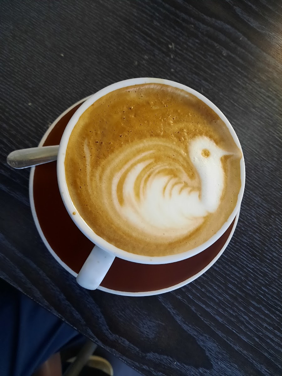 Sierra Café Lorne Street Photo 10