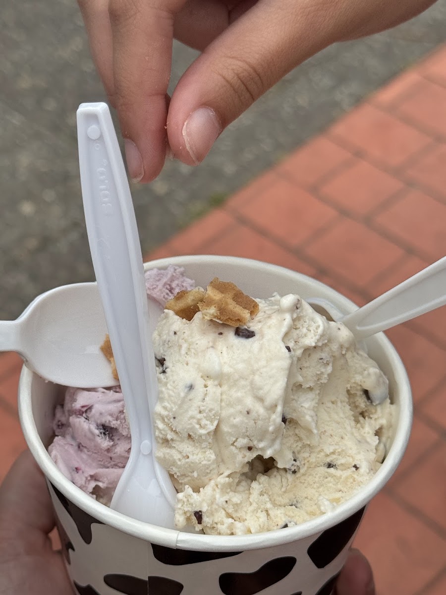 Zingers Homemade Ice Cream Photo 3