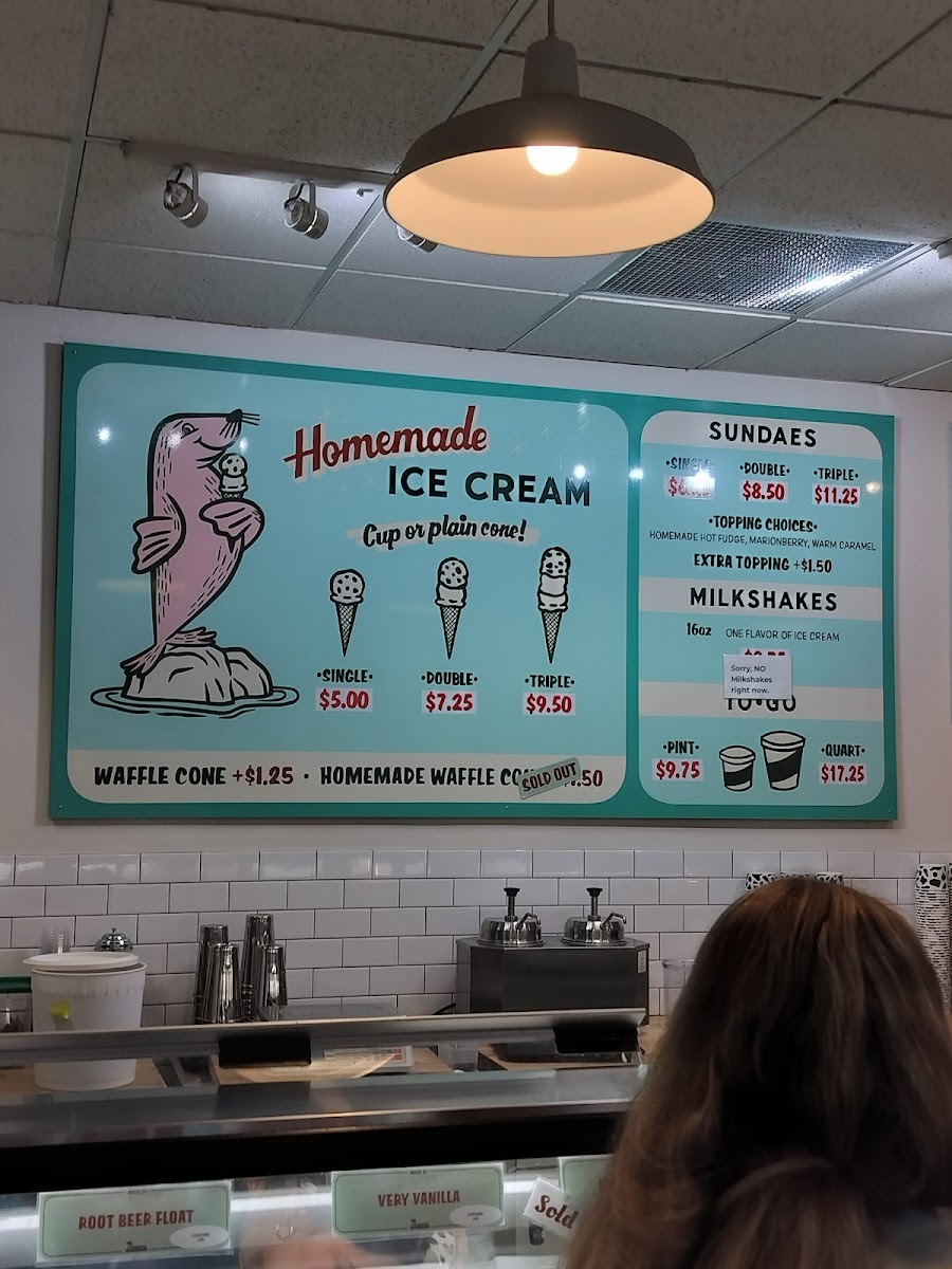 Zingers Homemade Ice Cream Photo Menu 9