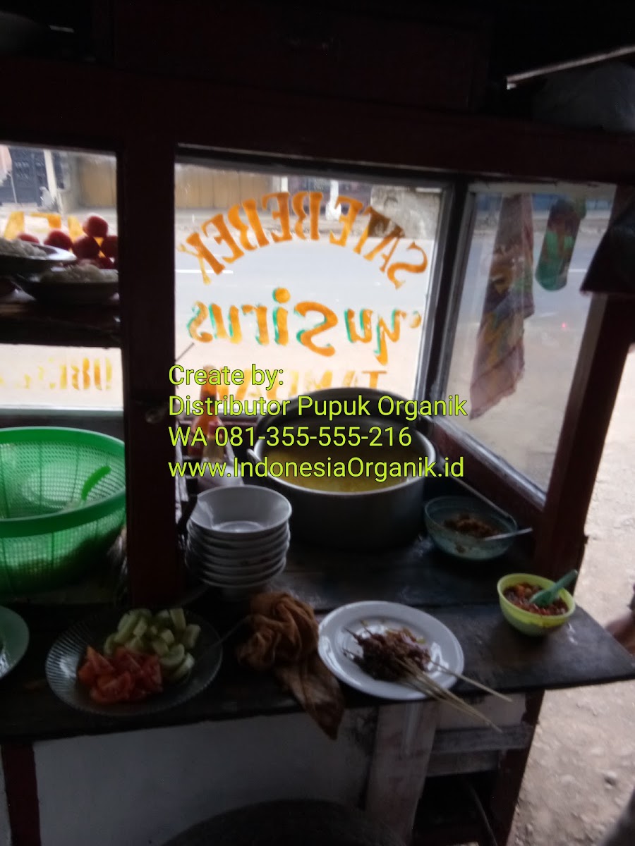 Sate Bebek Yu Sirus Photo 10