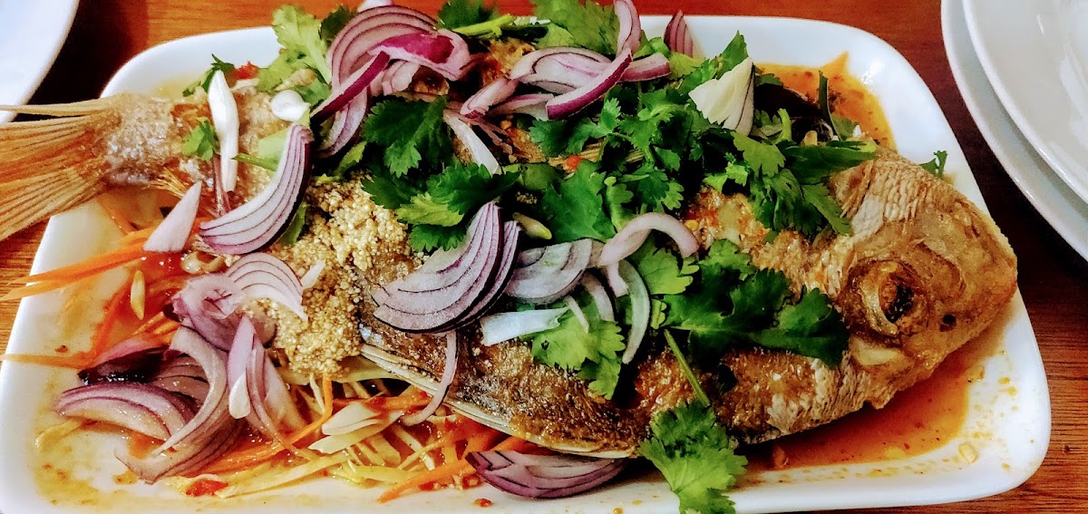 Top Ten Thai Food Takeaway Photo 10