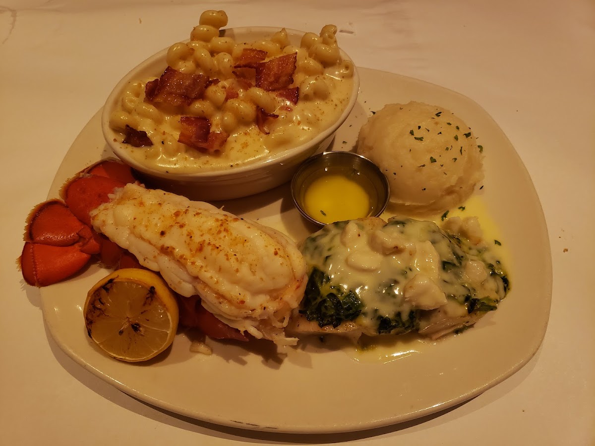 Bonefish Grill Photo 9