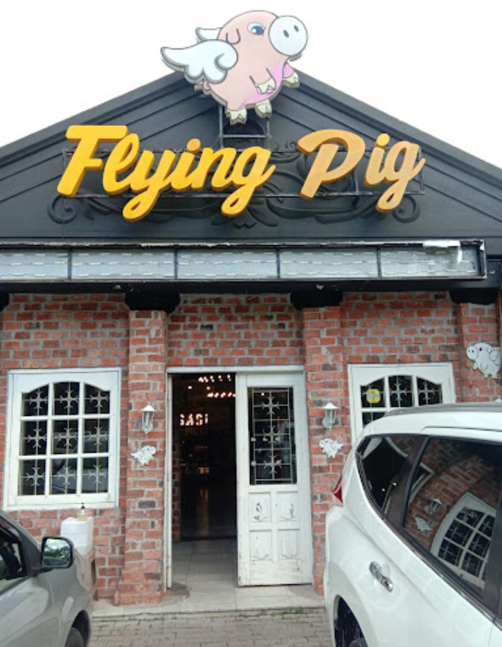 Flying Pig