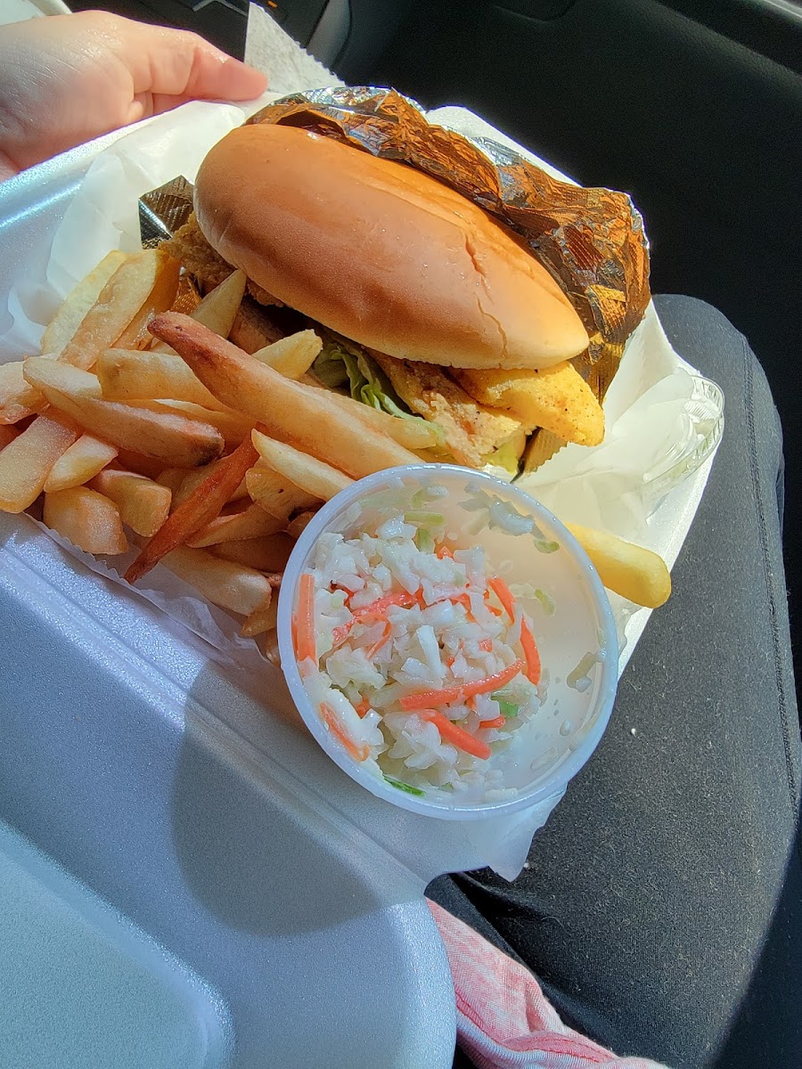 Chix and Fish Photo 3