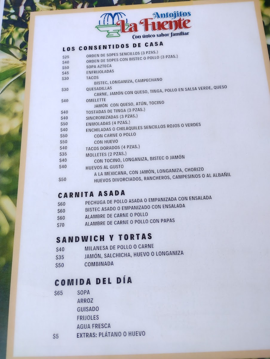 Antojitos “La Fuente“ Photo Menu 2