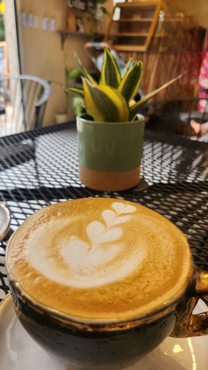 Luna Coffee Bar & Snack Shop Photo 5