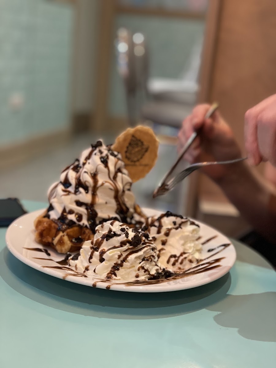 Gabrielle's Ice Cream Parlour Photo 10