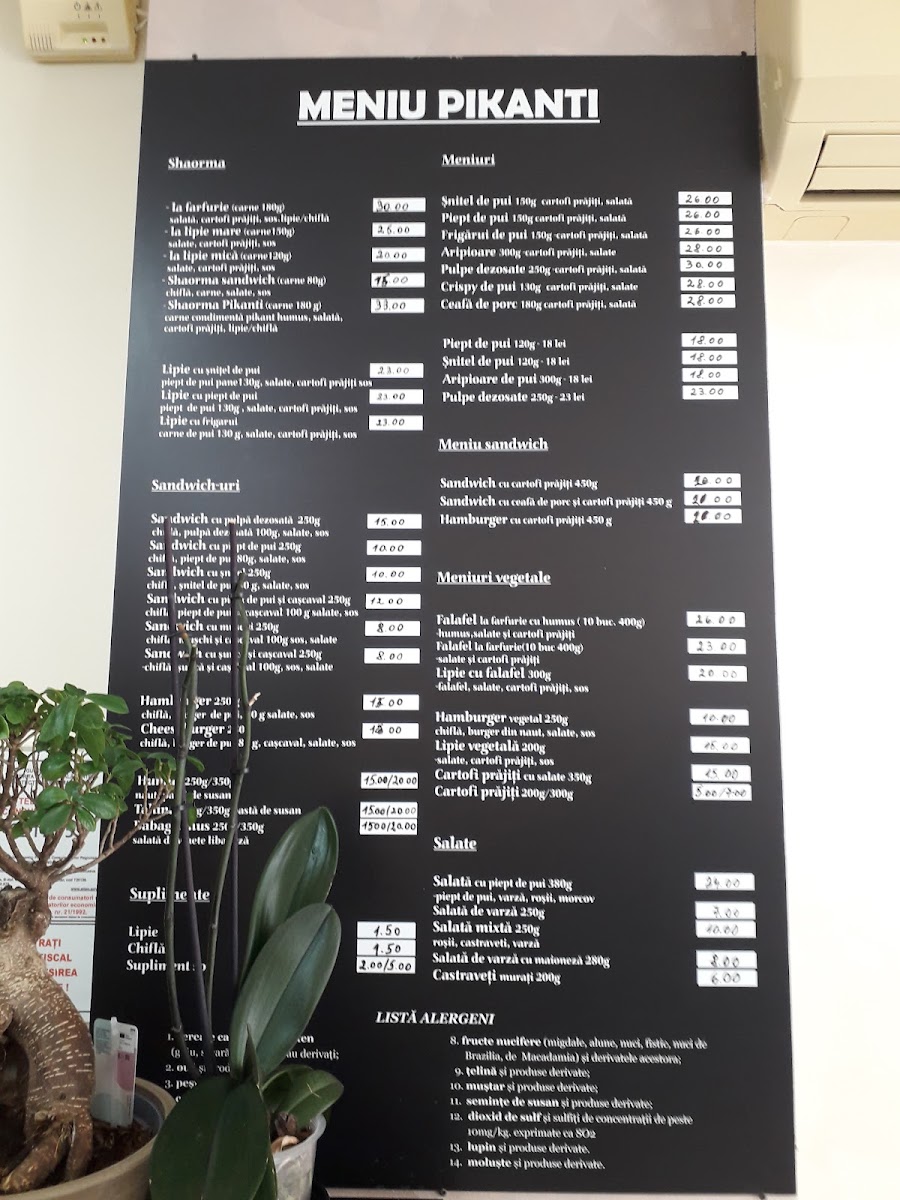 Pikanti Photo Menu 1