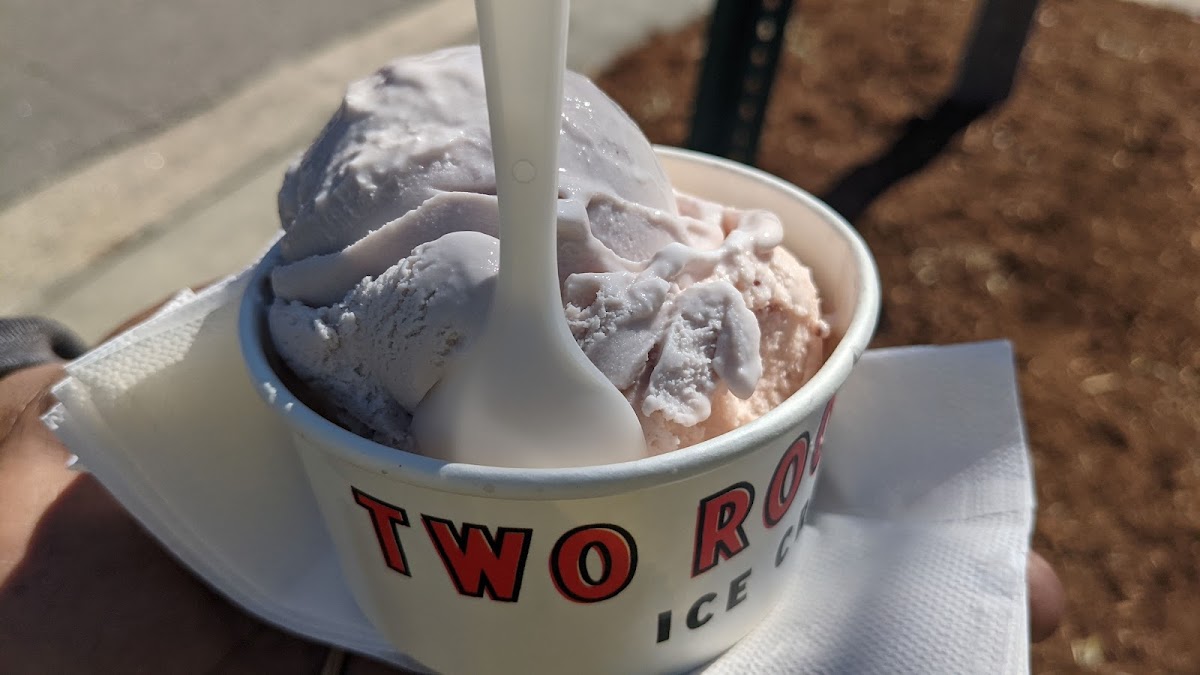Two Roosters Ice Cream Photo 10