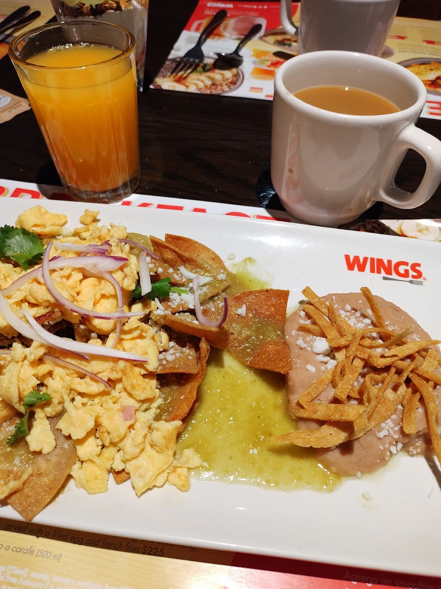 Wings Photo 4