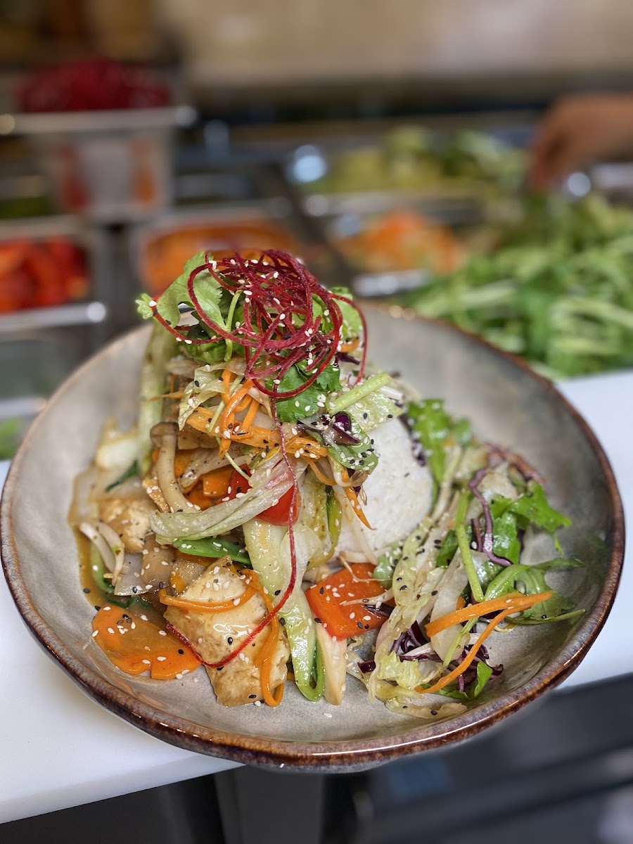 Udonge Vegan Cuisine Photo 3