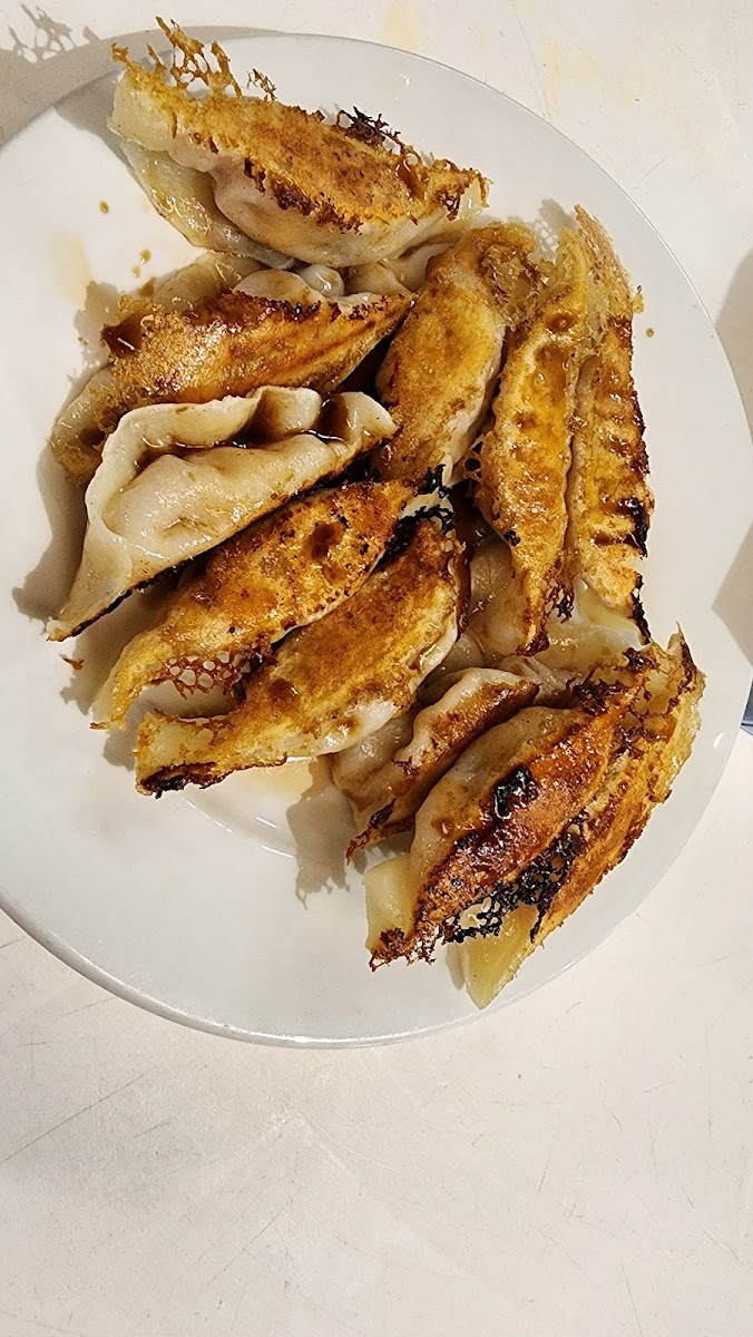 Dumpling & Noodle Bar Photo 5