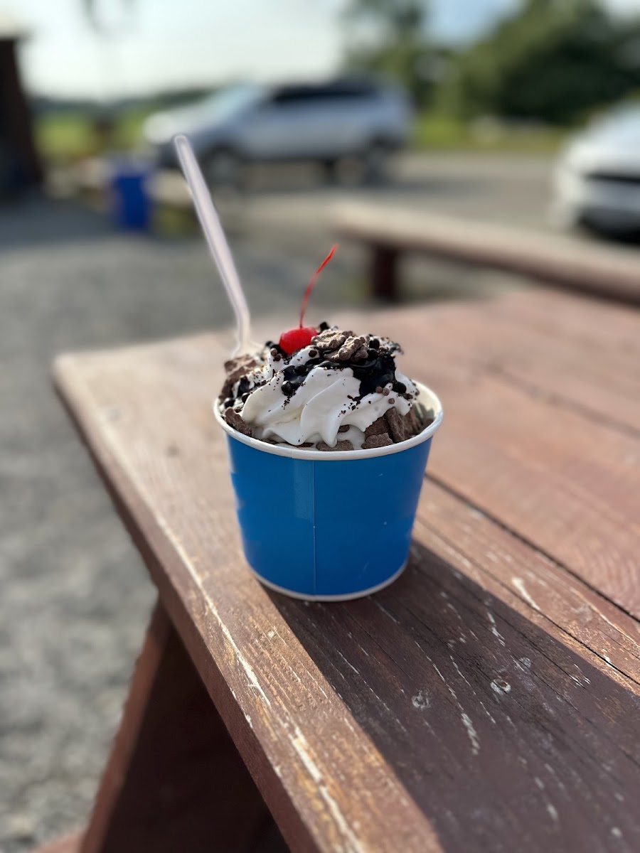 Kish-a-wa Creamery and Lulu's Coffeehouse Photo 5