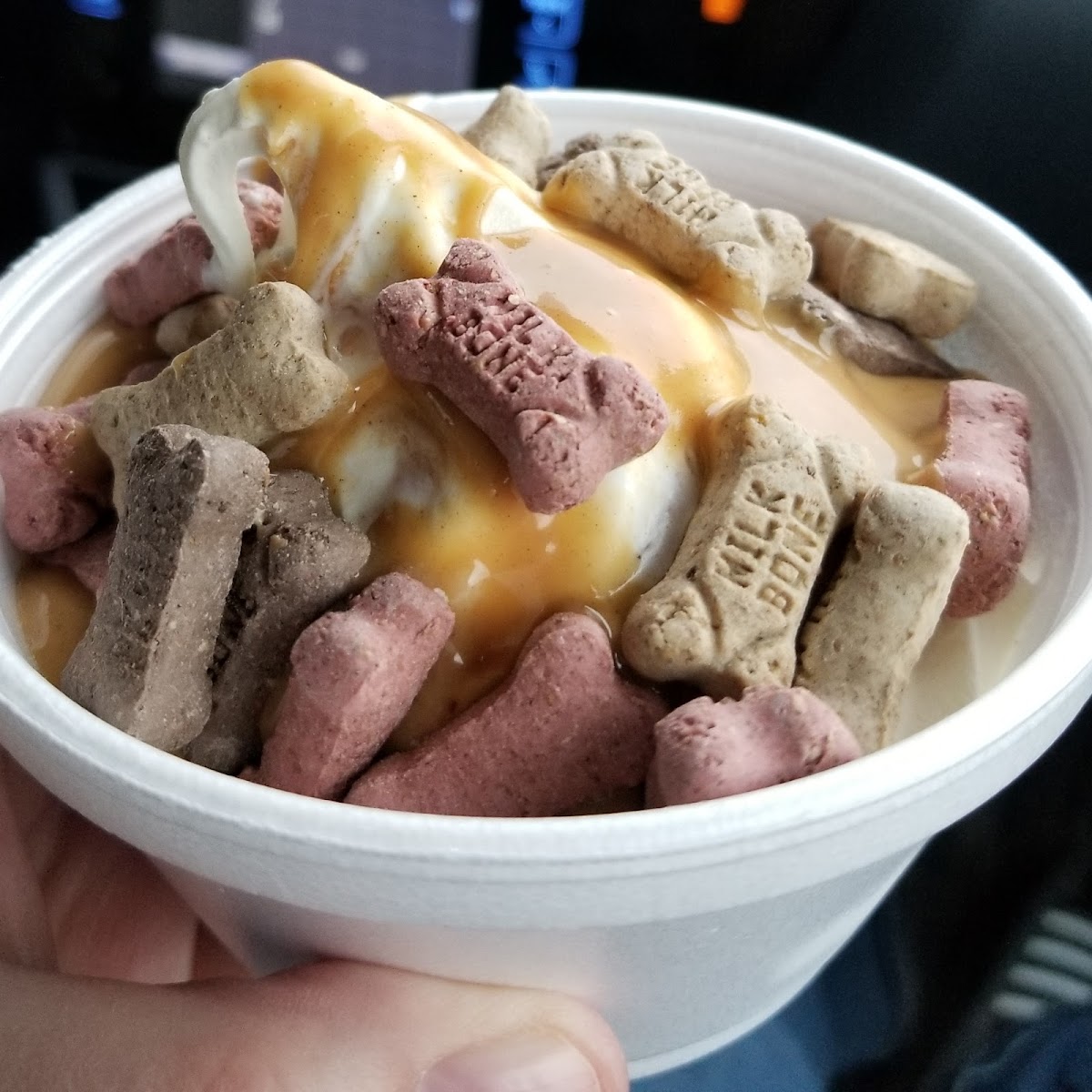 Kish-a-wa Creamery and Lulu's Coffeehouse Photo 9