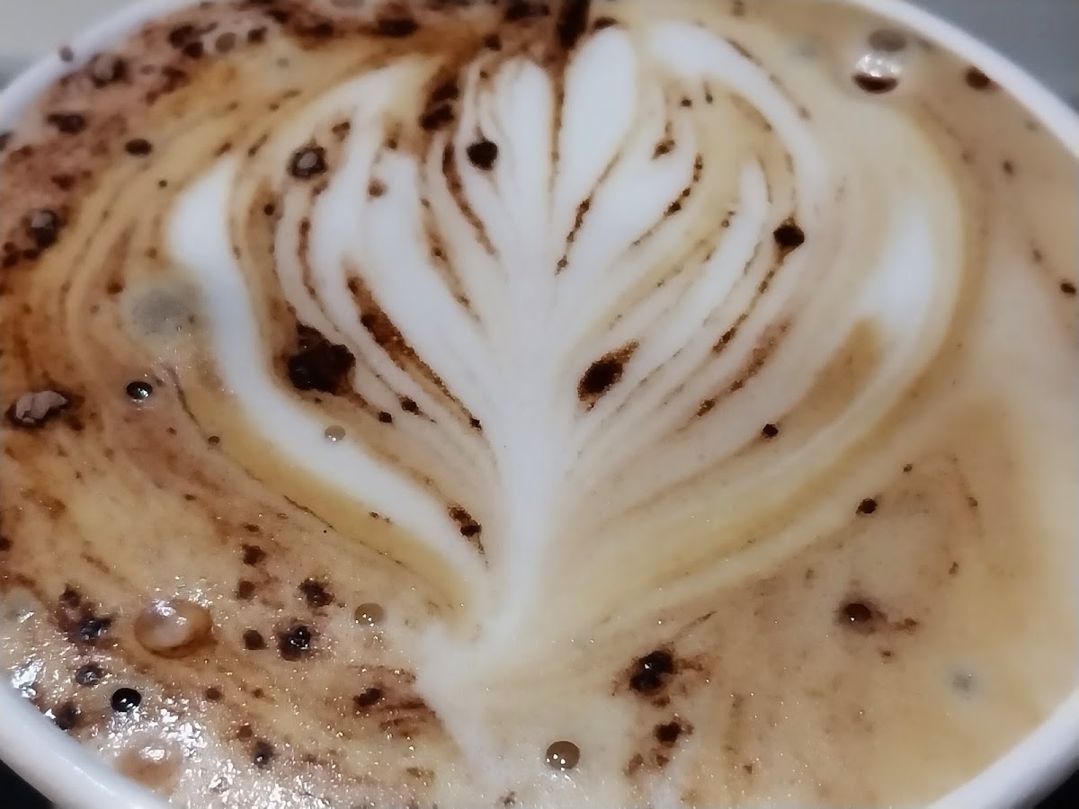 Coffee Brew St. Kilda Rd (Moody Brew) Photo 2