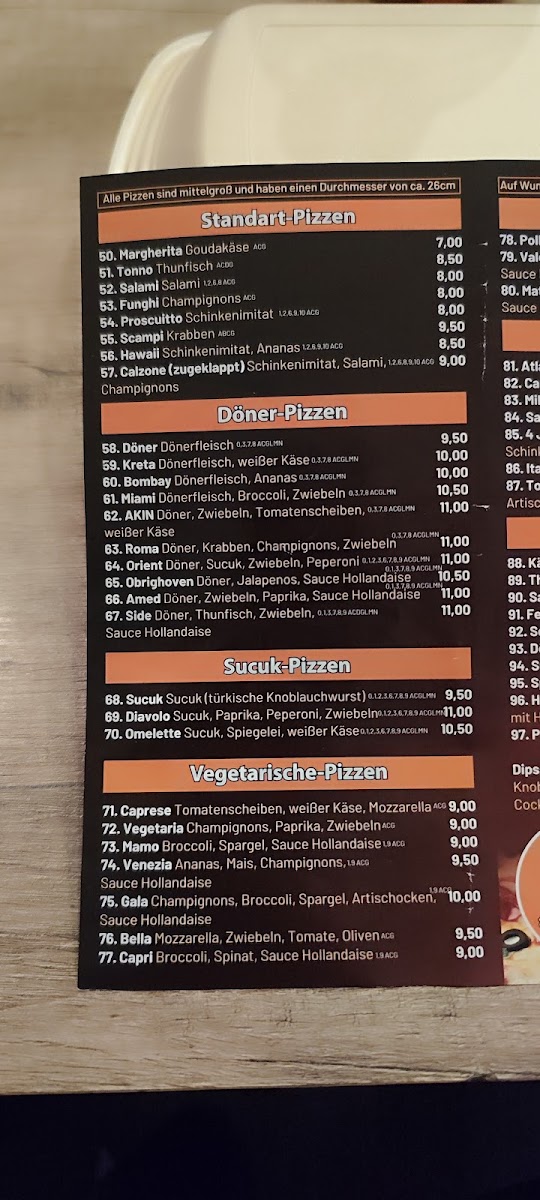 Akin Grill Döner Photo Menu 3