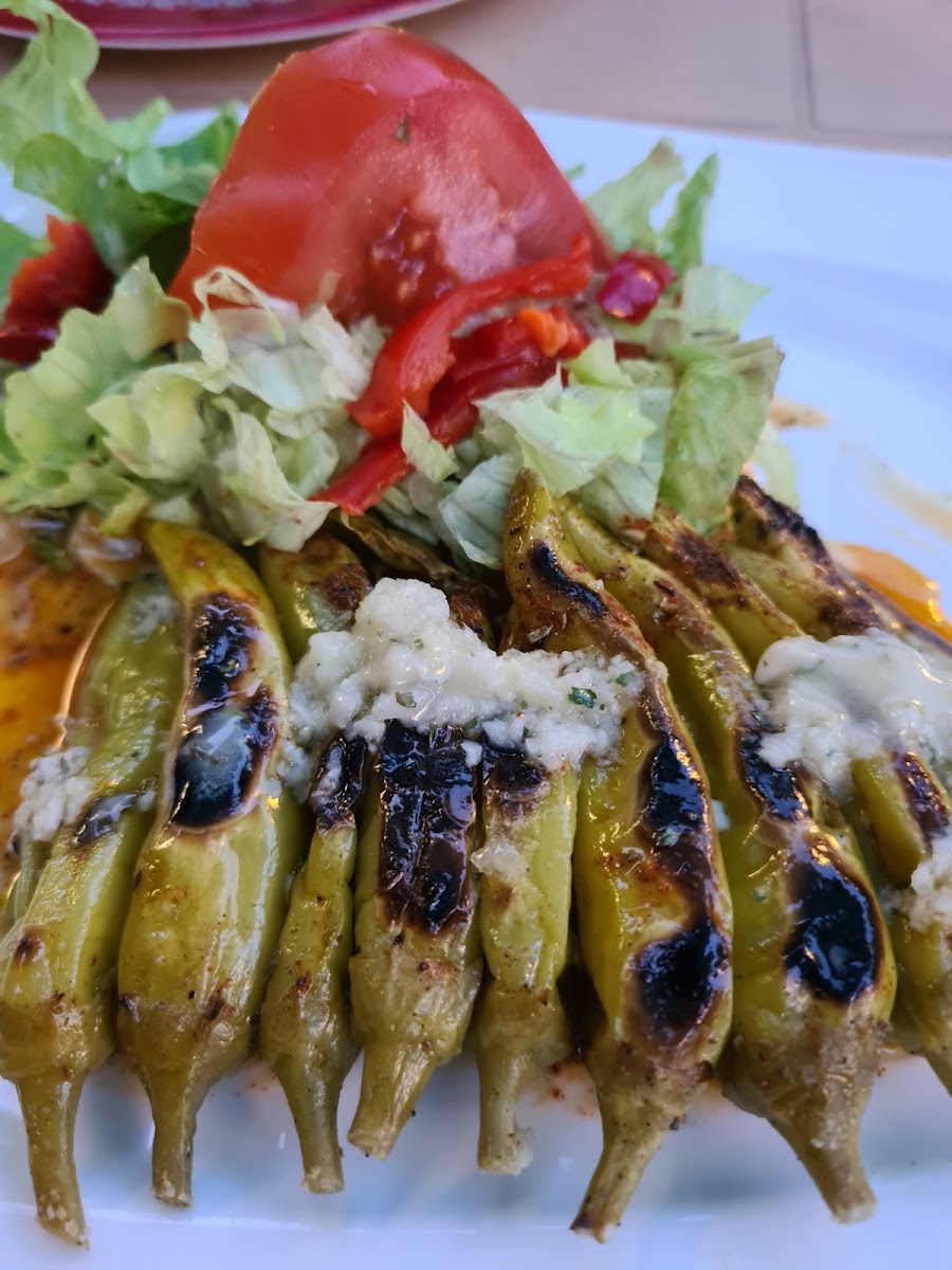 Restaurant Rhodos Grill Photo 9