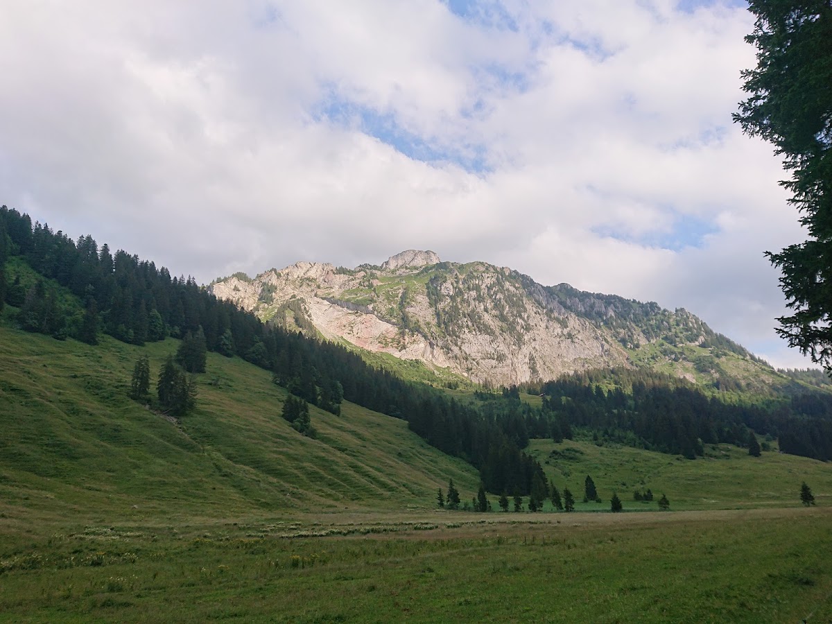 Alpage le Sori - buvette Photo 2