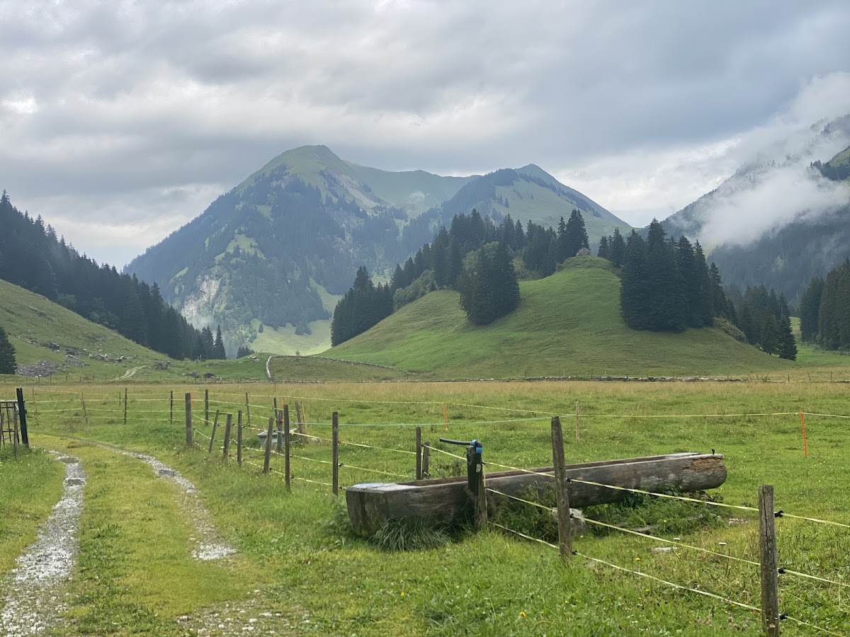 Alpage le Sori - buvette Photo 3